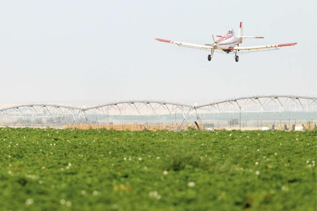 Rikkaruohomyrkystä syöpää?