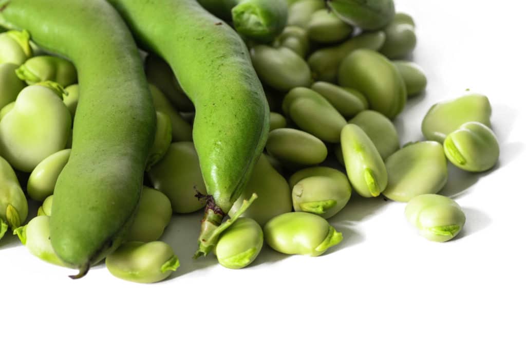 Kotimaista papua pataan