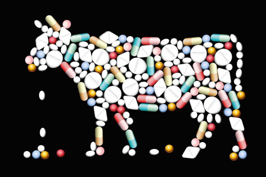 Liikaa lääkkeitä lehmille