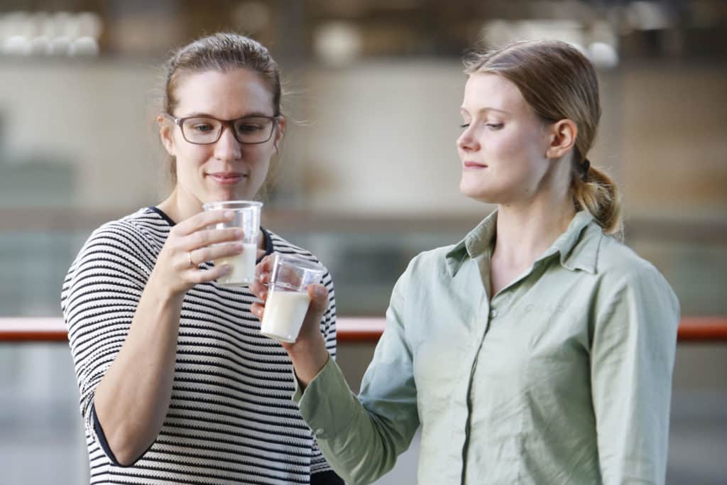 14 maitoa vertailussa: hinnoissa makua suuremmat erot