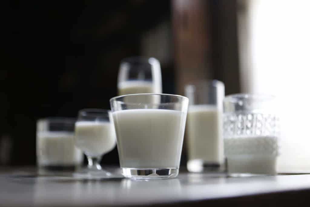 Samaa maitoa eri purkeissa