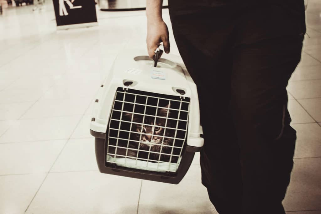 Lukijakysymys: Saako negatiiviset arvostelut jättää julkaisematta?