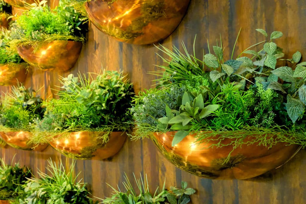 Viherseinä omaan kotiin