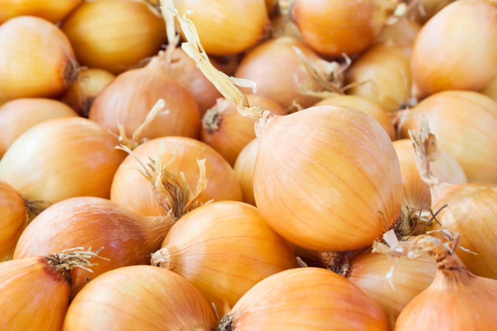 Säilytä kaupan sipulit viileässä