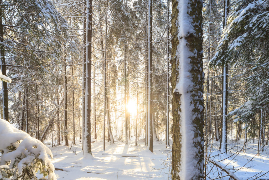 Lukijakysymys: Milloin auringolta pitää suojautua?