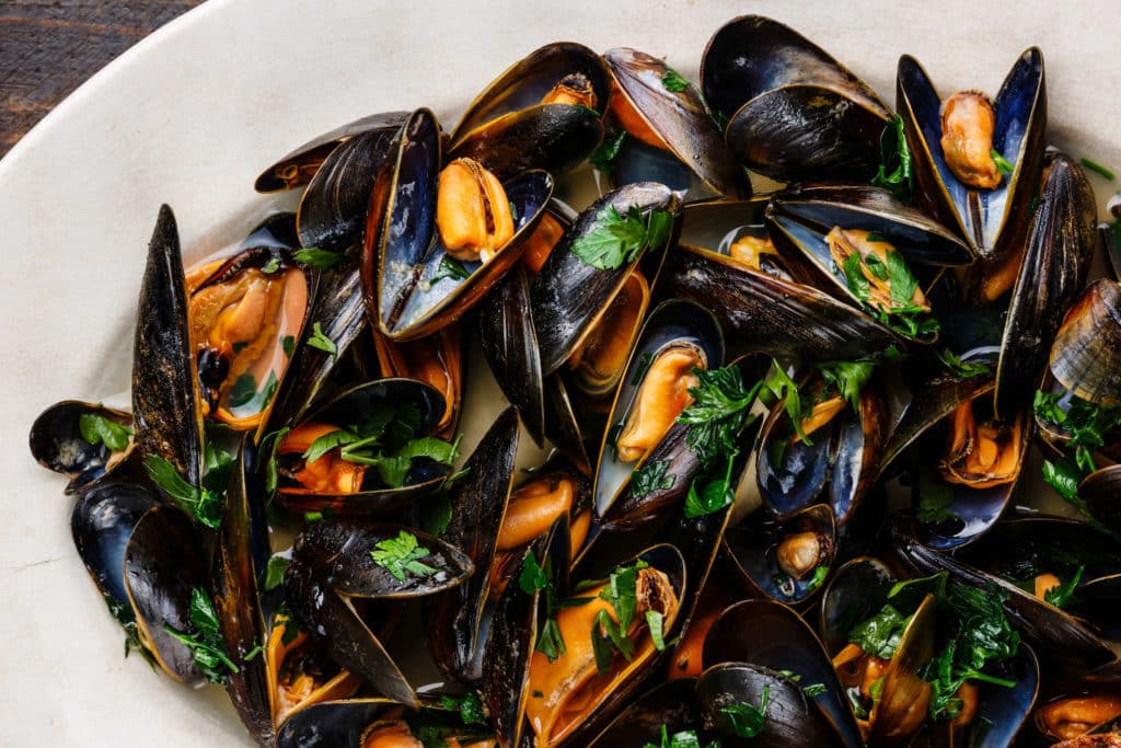 Muovia merenherkuissa