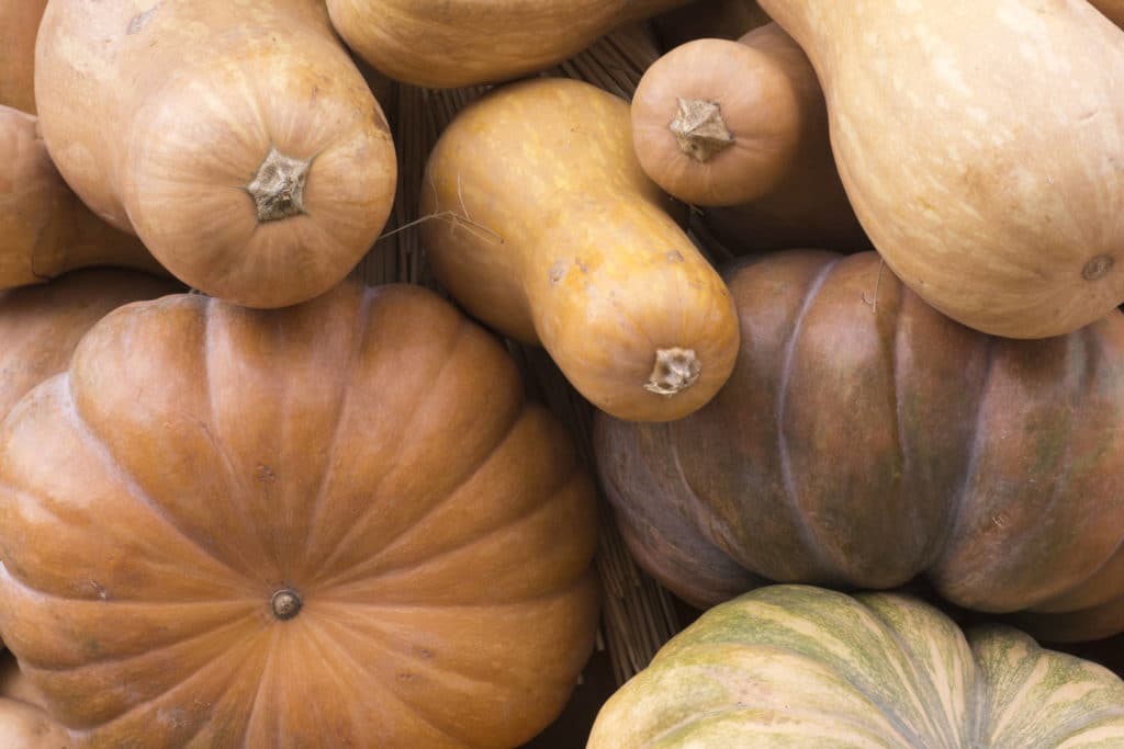 Vihannestiskissä vaihtoehtoja Halloween-kurpitsalle