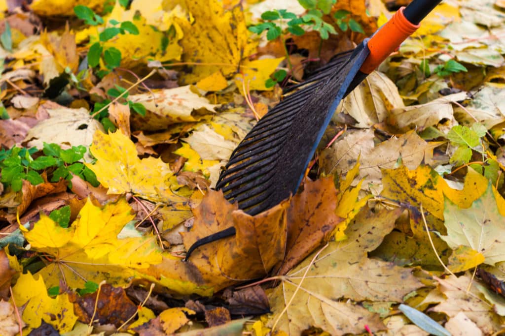 Lukijakysymys: Miksei haravaan saa varaosia?