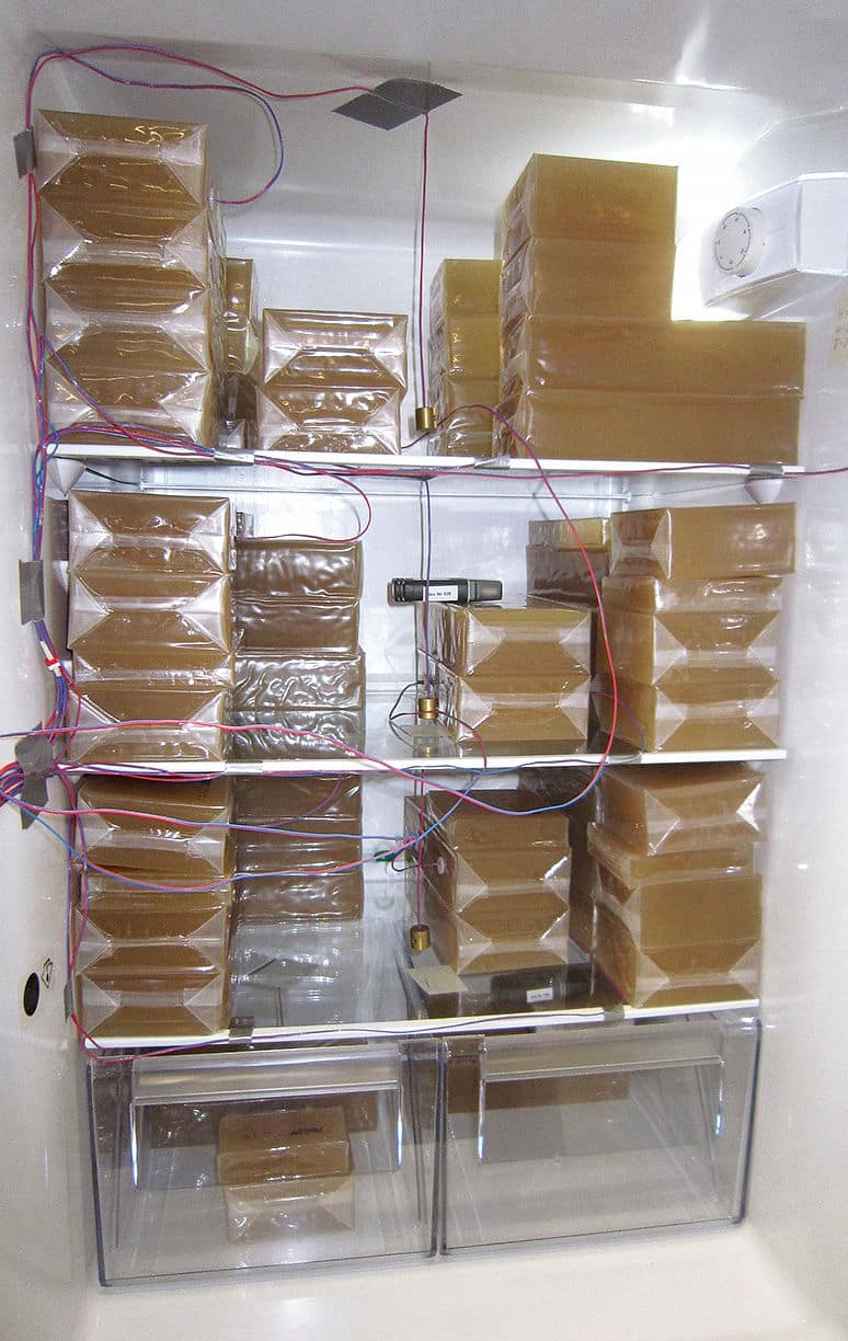 Elintarvikkeita simuloivia pakkauksia sekä lämpömittareita jääkaapissa.