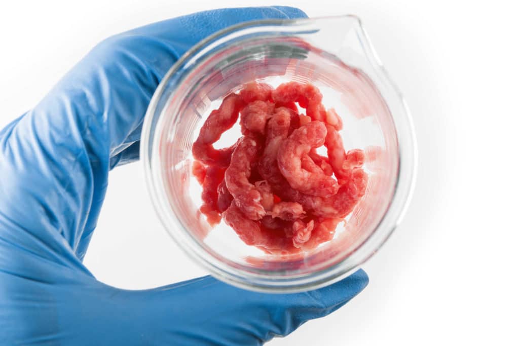 Tulevaisuuden proteiinit: kasviproteiinit, hyönteiset, laboratorioliha…