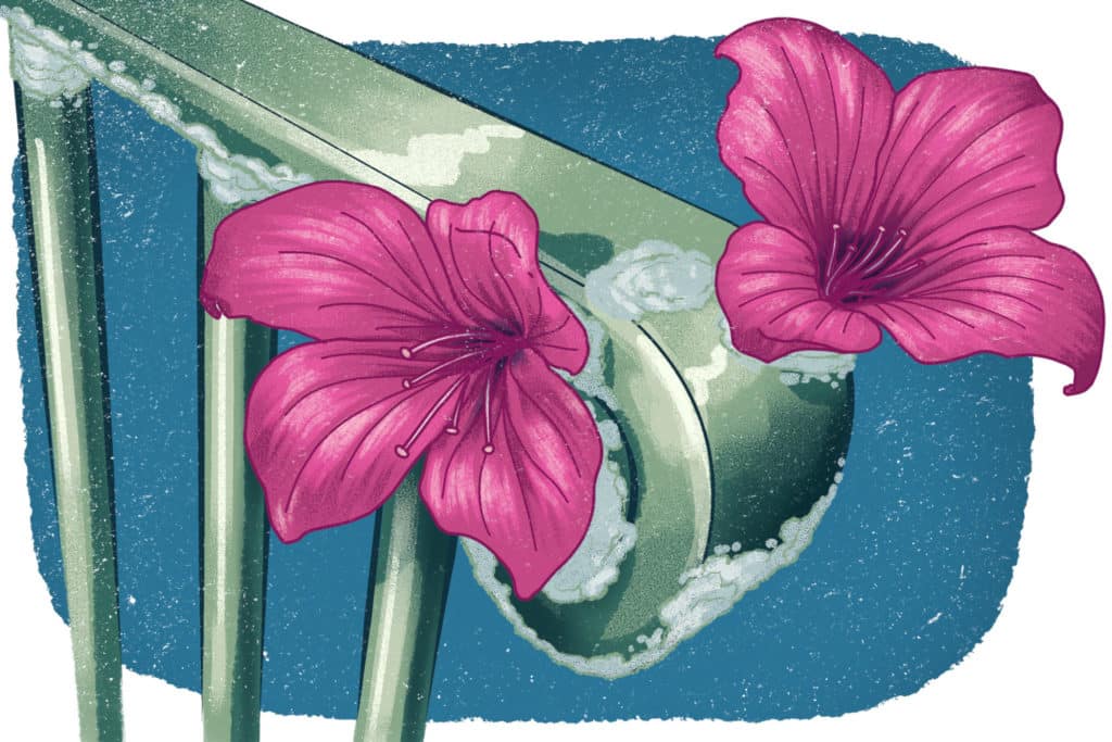 Homehtunut maalipinta ja muita riitoja