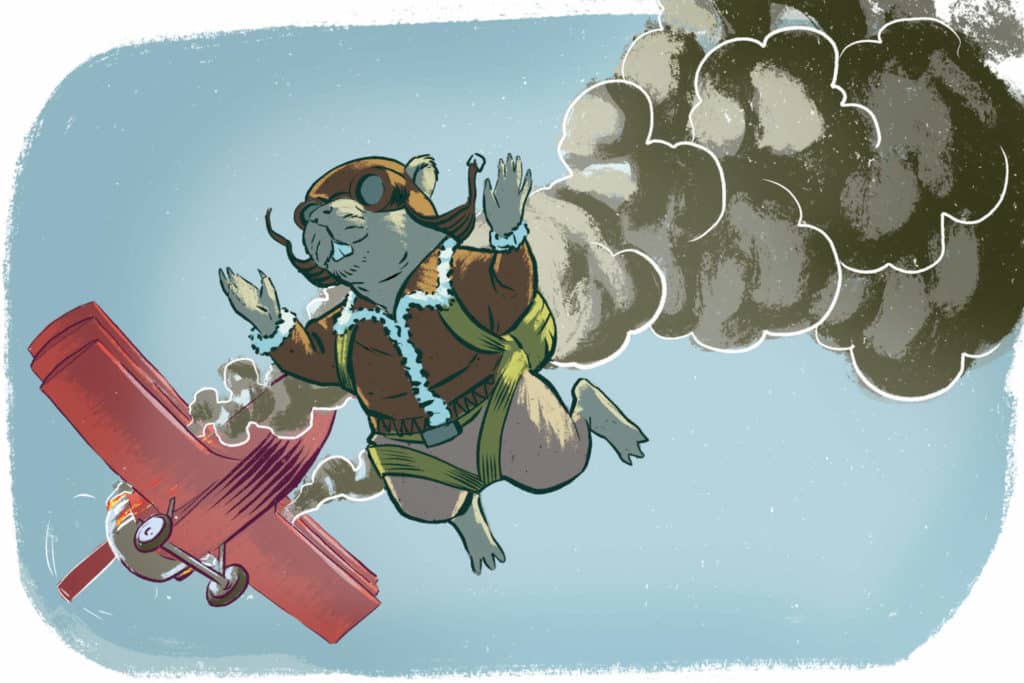 Viallinen lennokki ja muita riitoja