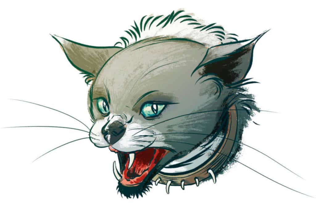 Virhe kissan hammashoidossa ja muita riitoja