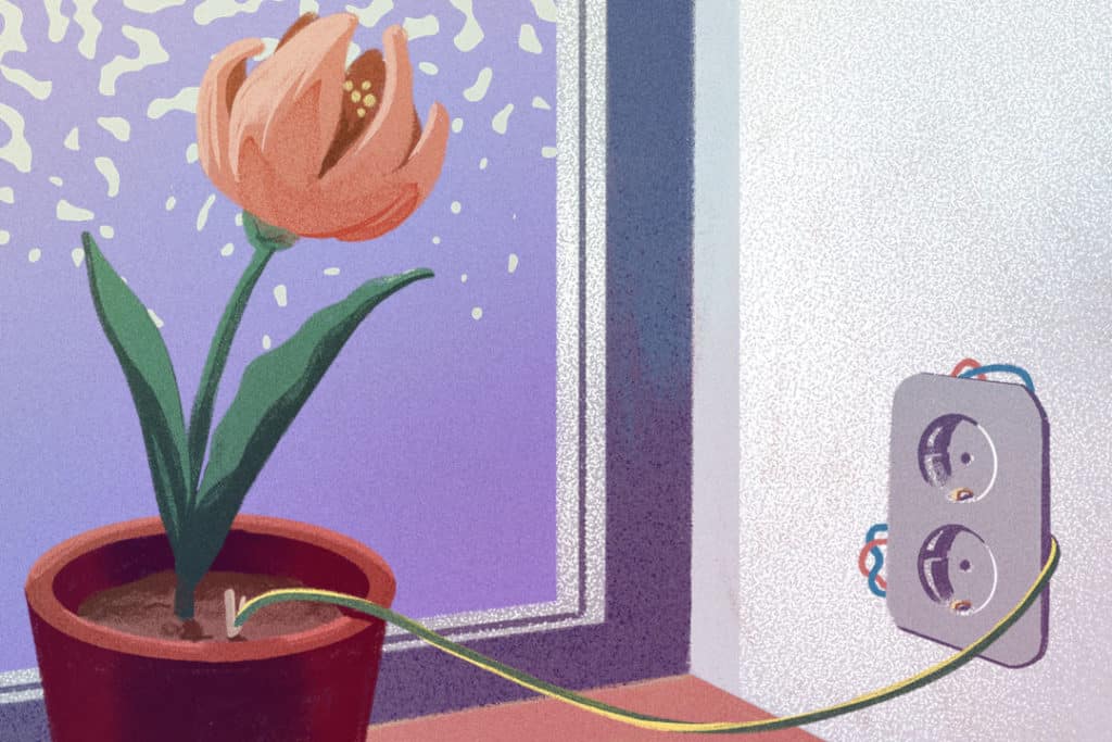 Epäpätevä sähköasentaja ja muita riitoja