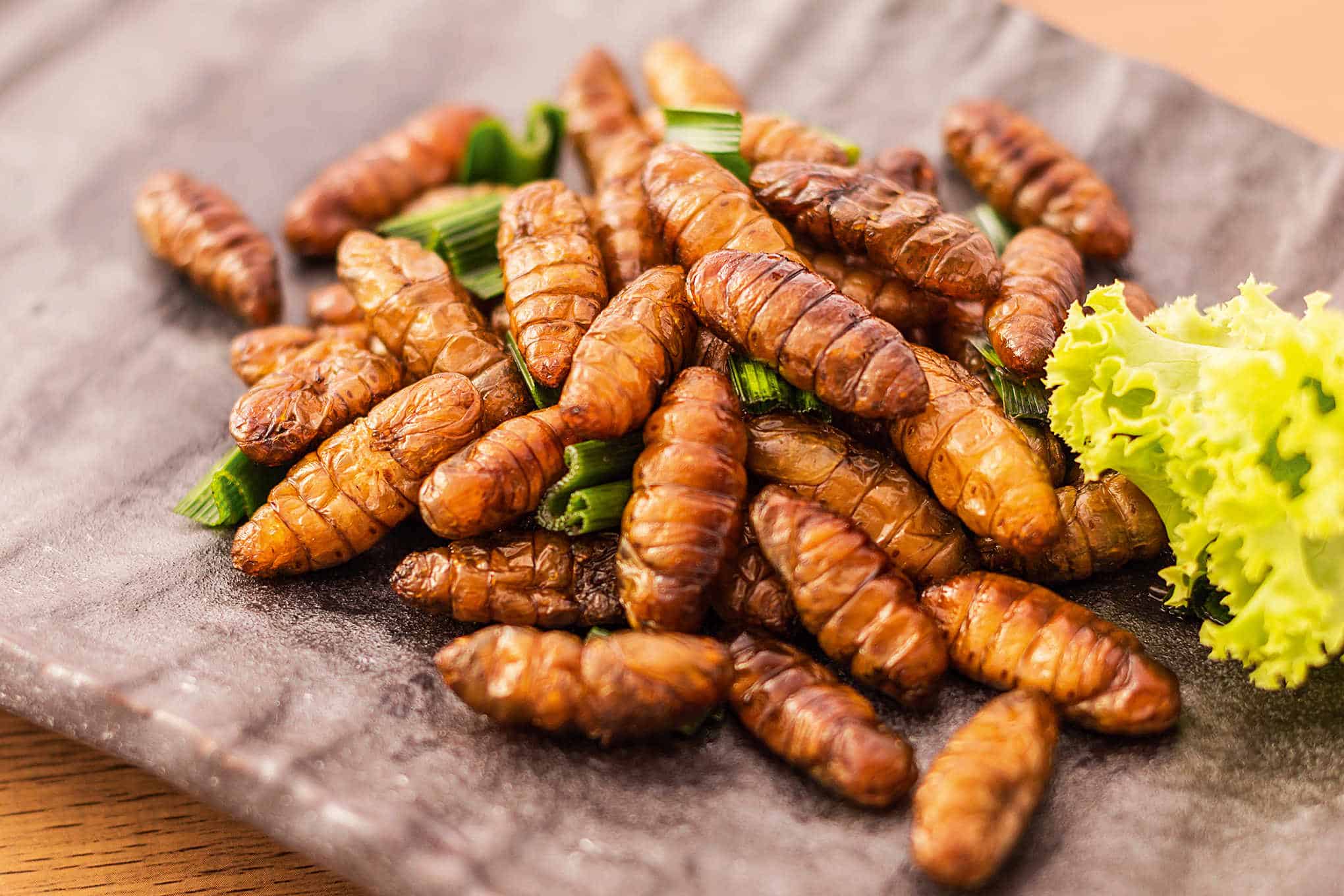 Paistettuja toukkia lautasella.