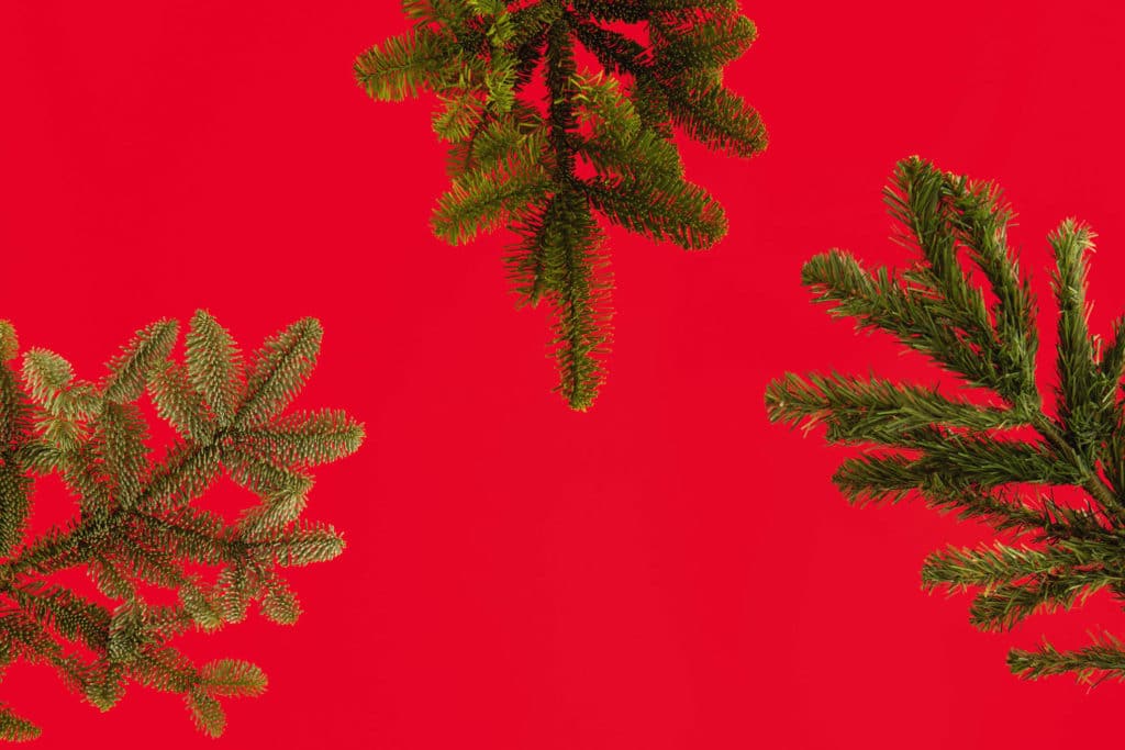 Mistä on tehty: Joulukuuset