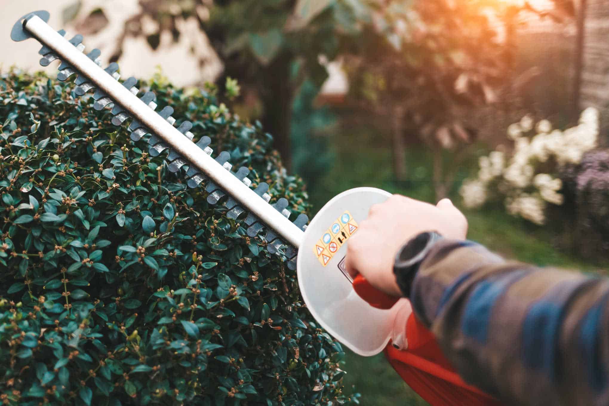 Pensasleikkurilla leikataan pensasta.