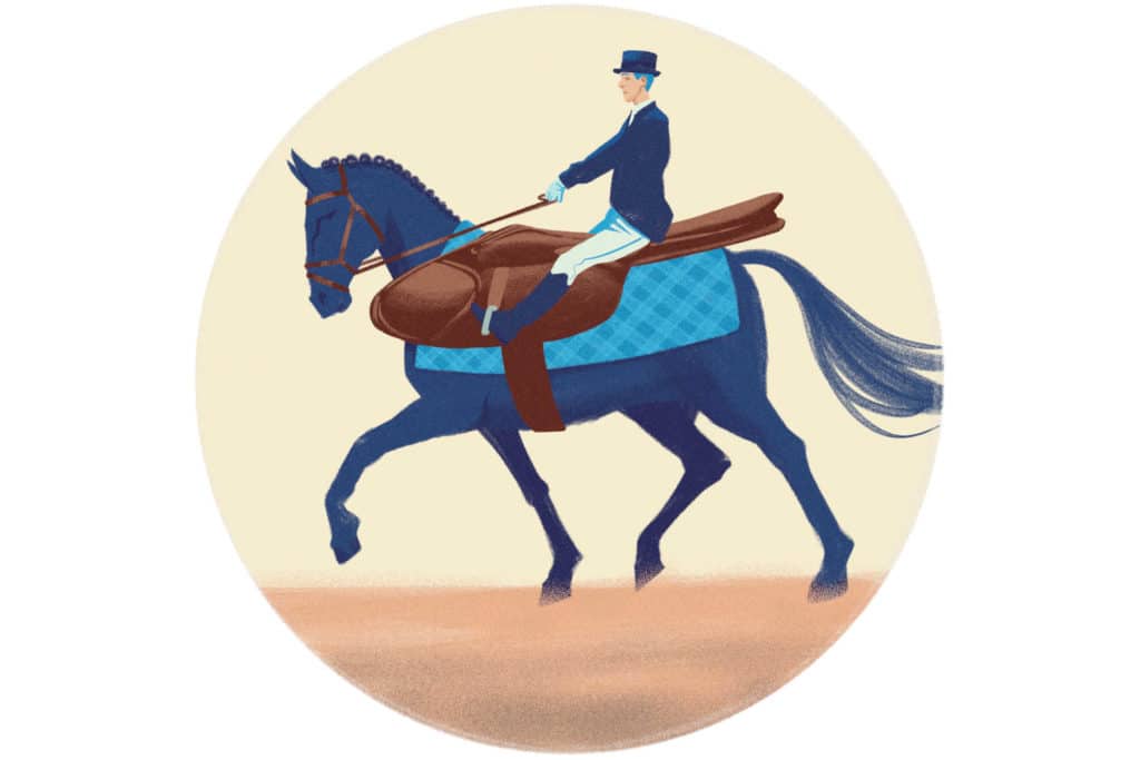 Ylipitkä satula ja muita riitoja