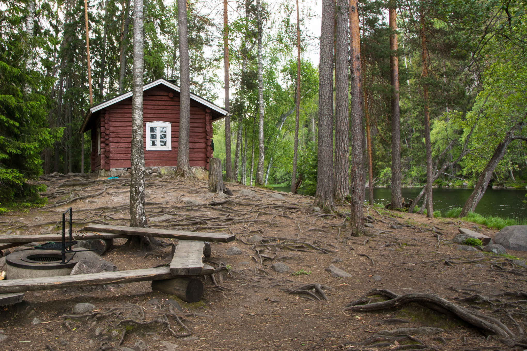 Punainen mökki ja puupenkki metsässä.