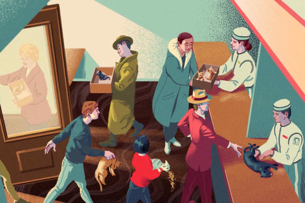 Sairaat kissat ja muita riitoja