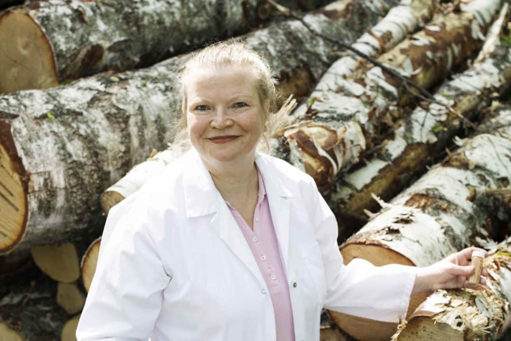 Makeutusainetta koivun kuoresta