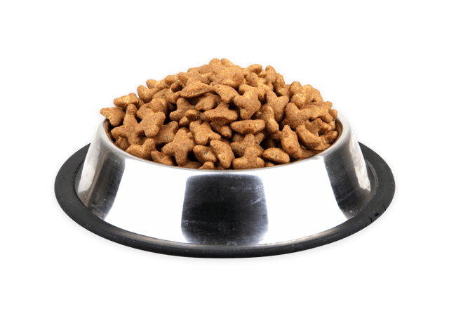 Koiranruokaa ruokakupissa.