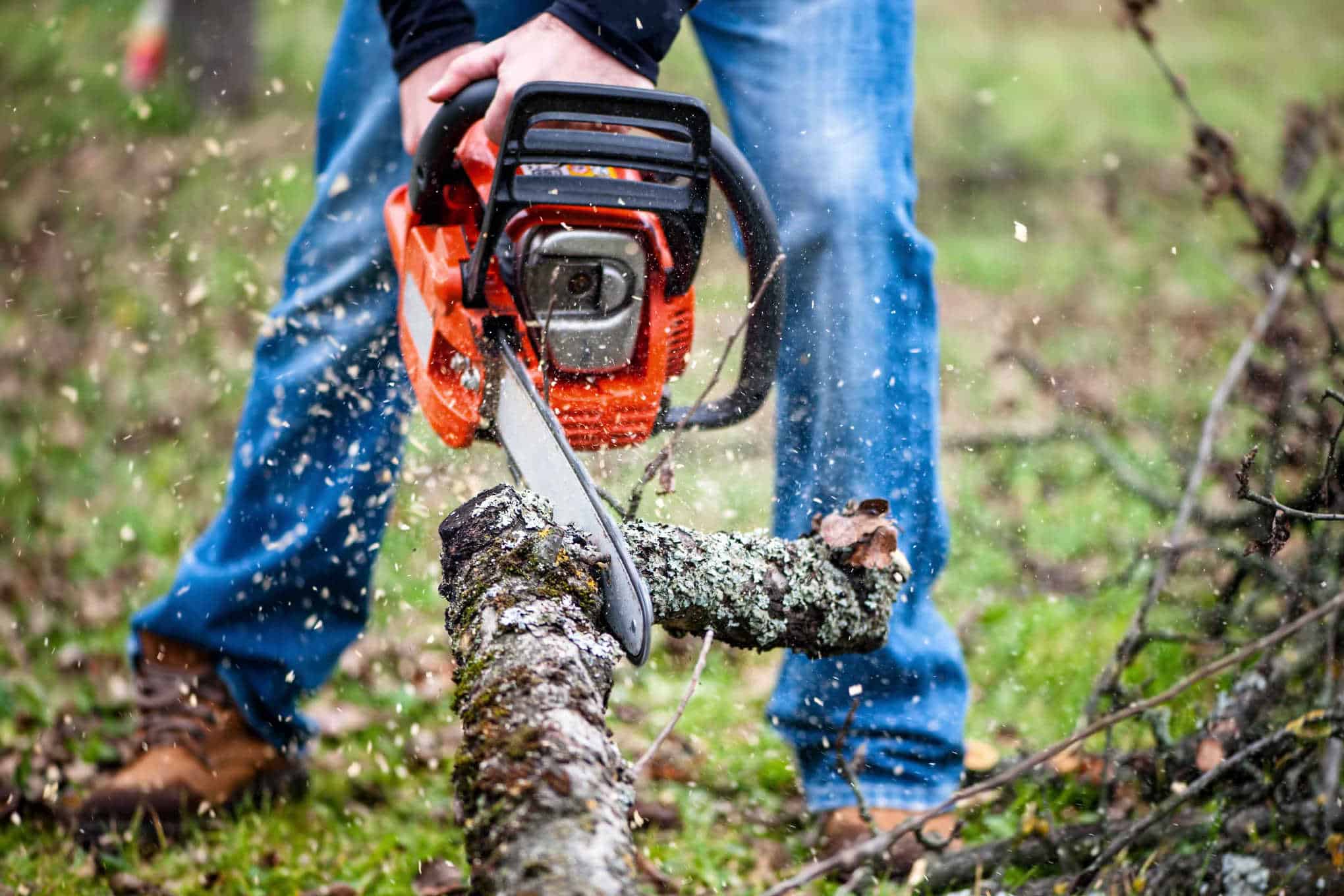 Moottorisahalla leikataan puuta.