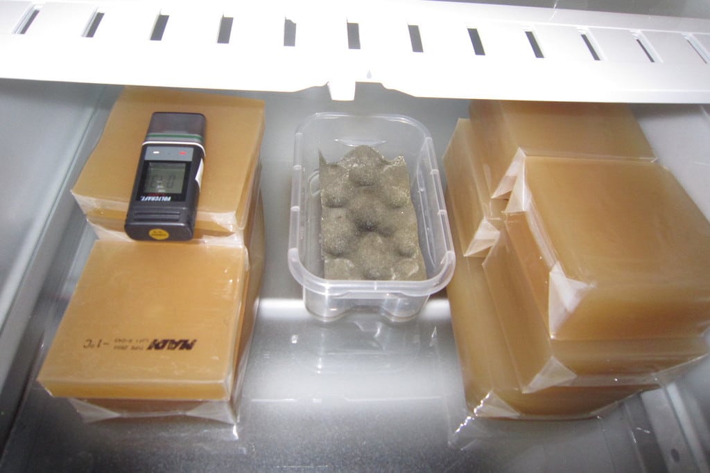 Testipakkauksia ja ilmankosteusmittari jääkaappiosan vihanneslaatikossa.