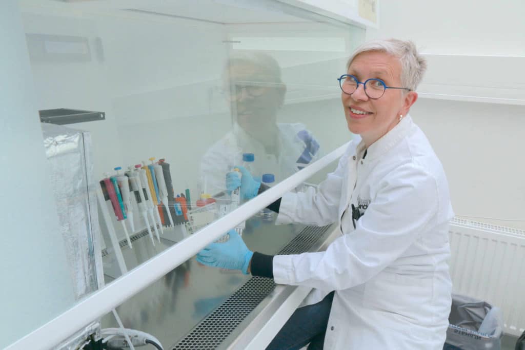 Sienistä uusi ase viruksia vastaan