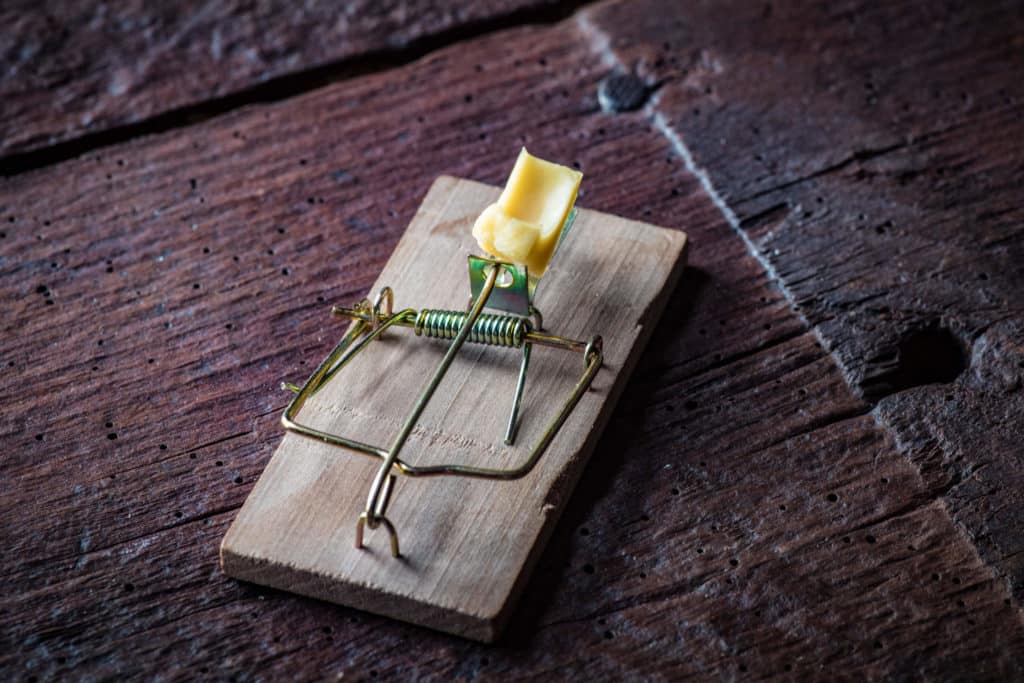 Lukijakysymys: Kärsiikö hiiri loukussa?