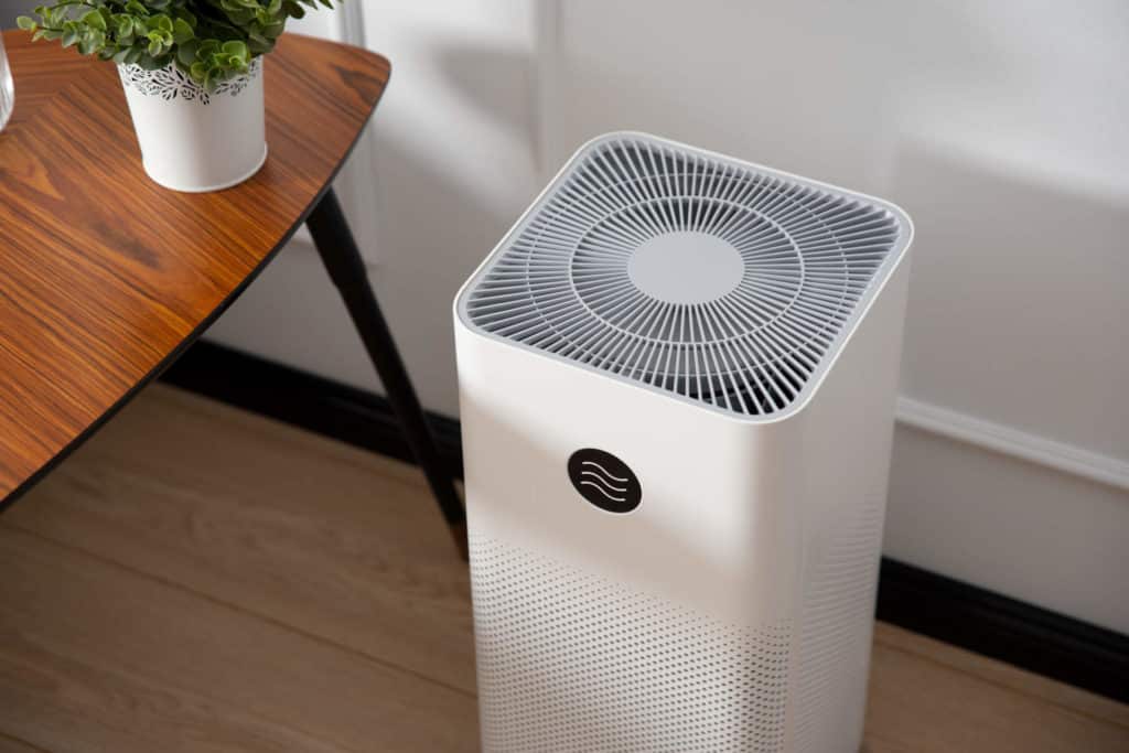 Ilmanpuhdistin ja pöytä, jolla on kasvi.