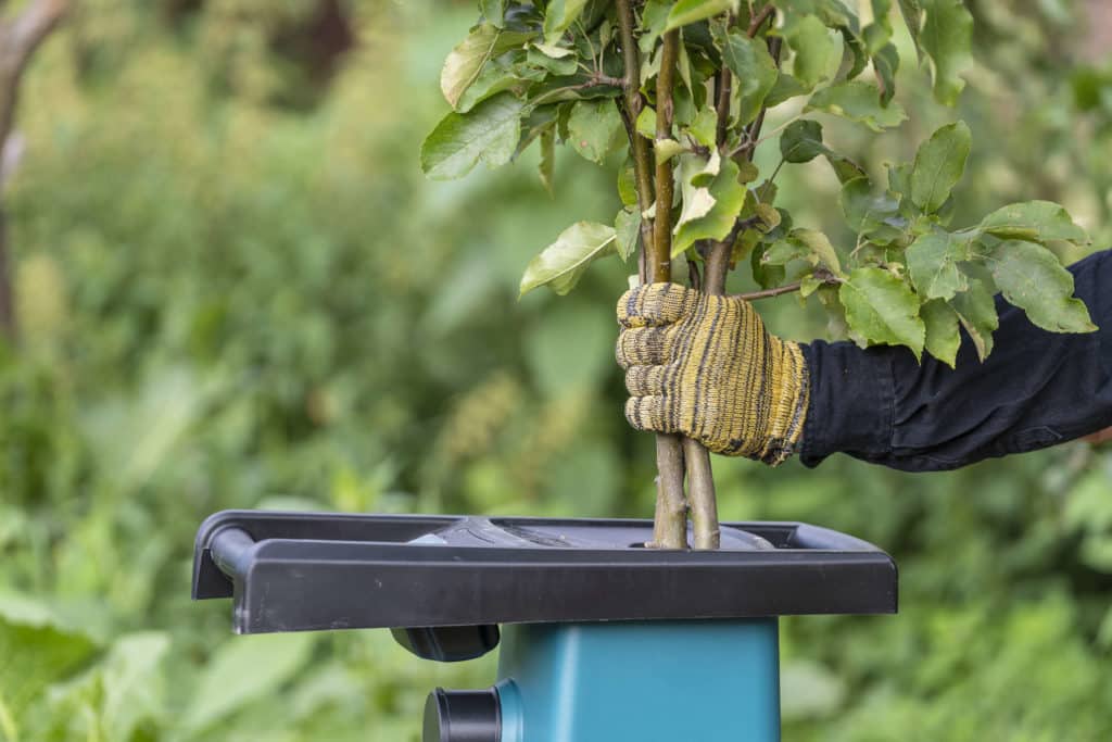 Henkilö laittamassa oksia oksasilppuriin.
