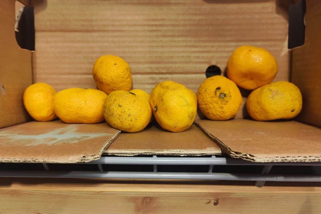 Kauppa karttaa kakkoslaadun tuotteita