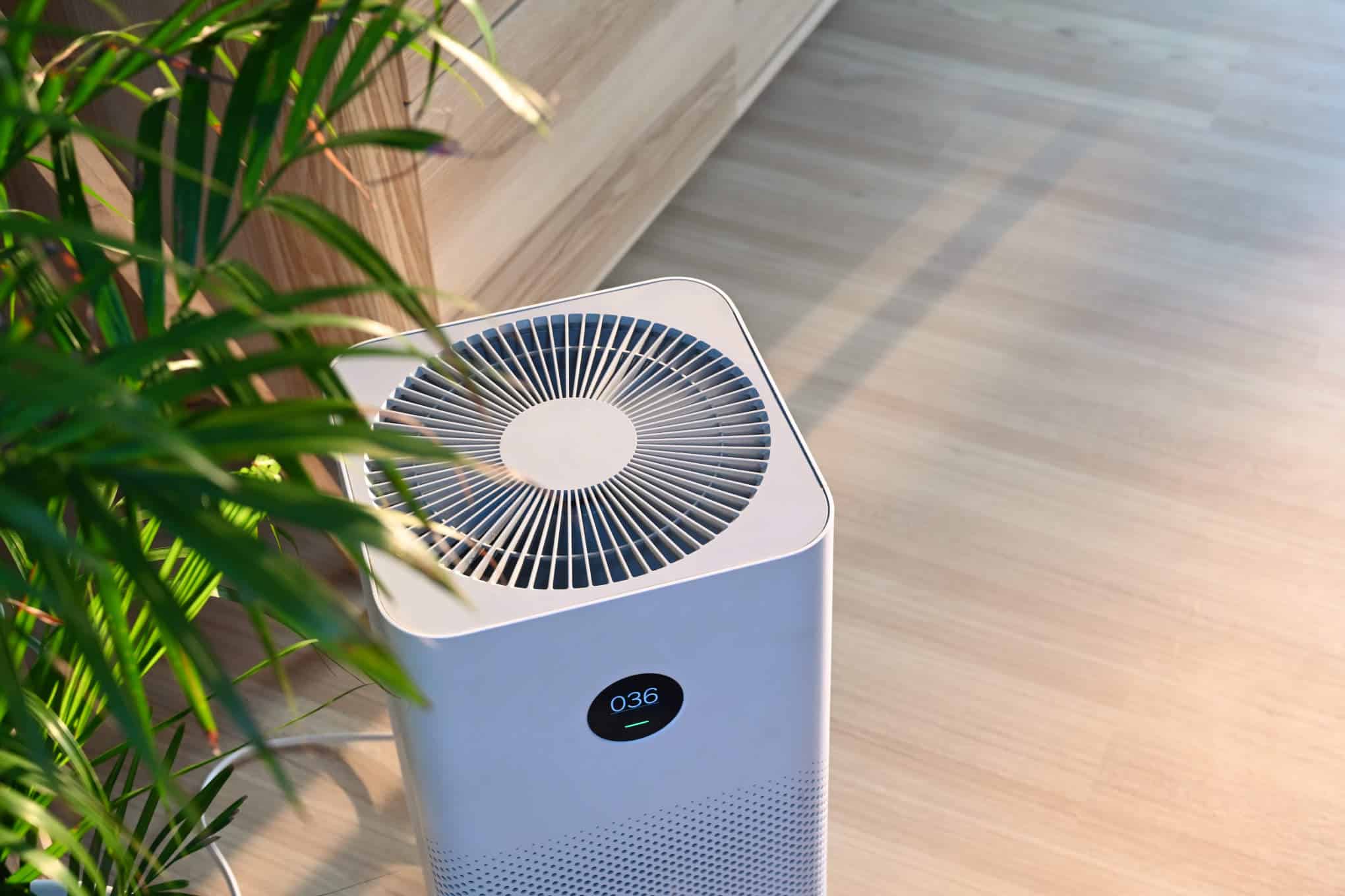 Ilmanpuhdistuslaite ja huonekasvi.