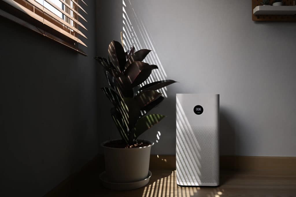 Opas: näin selvität kodin ilmanlaadun ongelmat