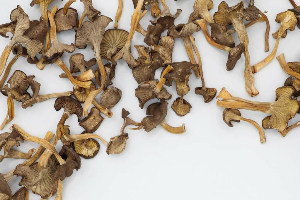 Sienissä saattaa yhä olla radioaktiivista säteilyä