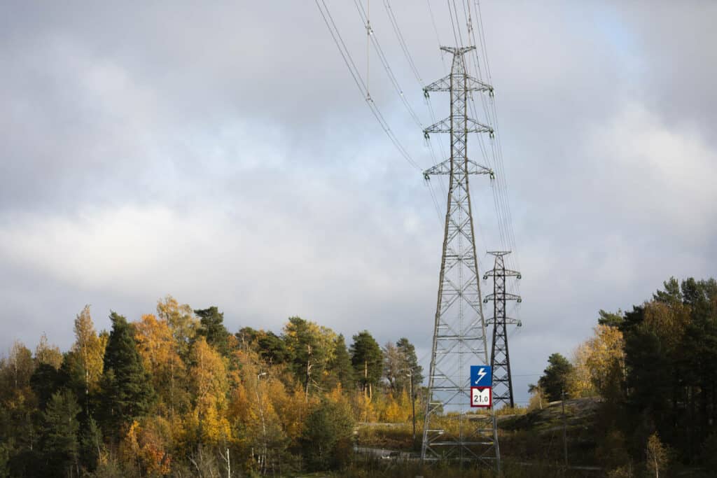 Sähkölinja metsämaisemassa.