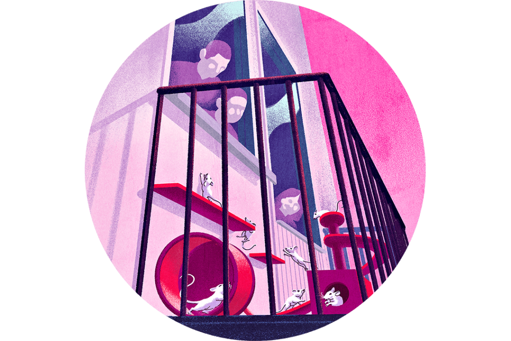 Vuokralainen pyydysti parvekkeelta toistakymmentä hiirtä – vuokranantaja reagoi vasta yli vuoden kuluttua