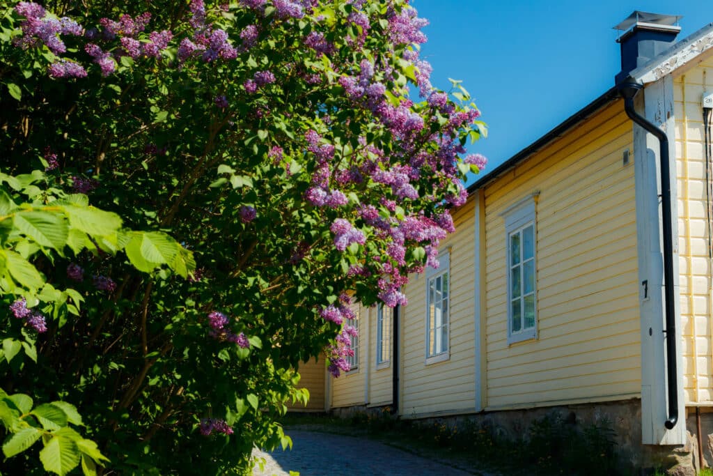 Puurakenteinen omakotitalo.