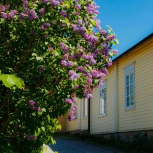 Puurakenteinen omakotitalo.