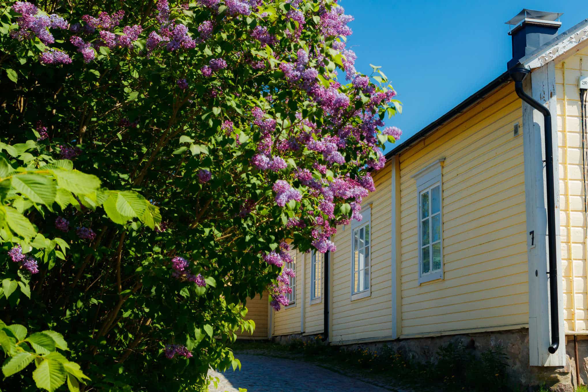 Puurakenteinen omakotitalo.