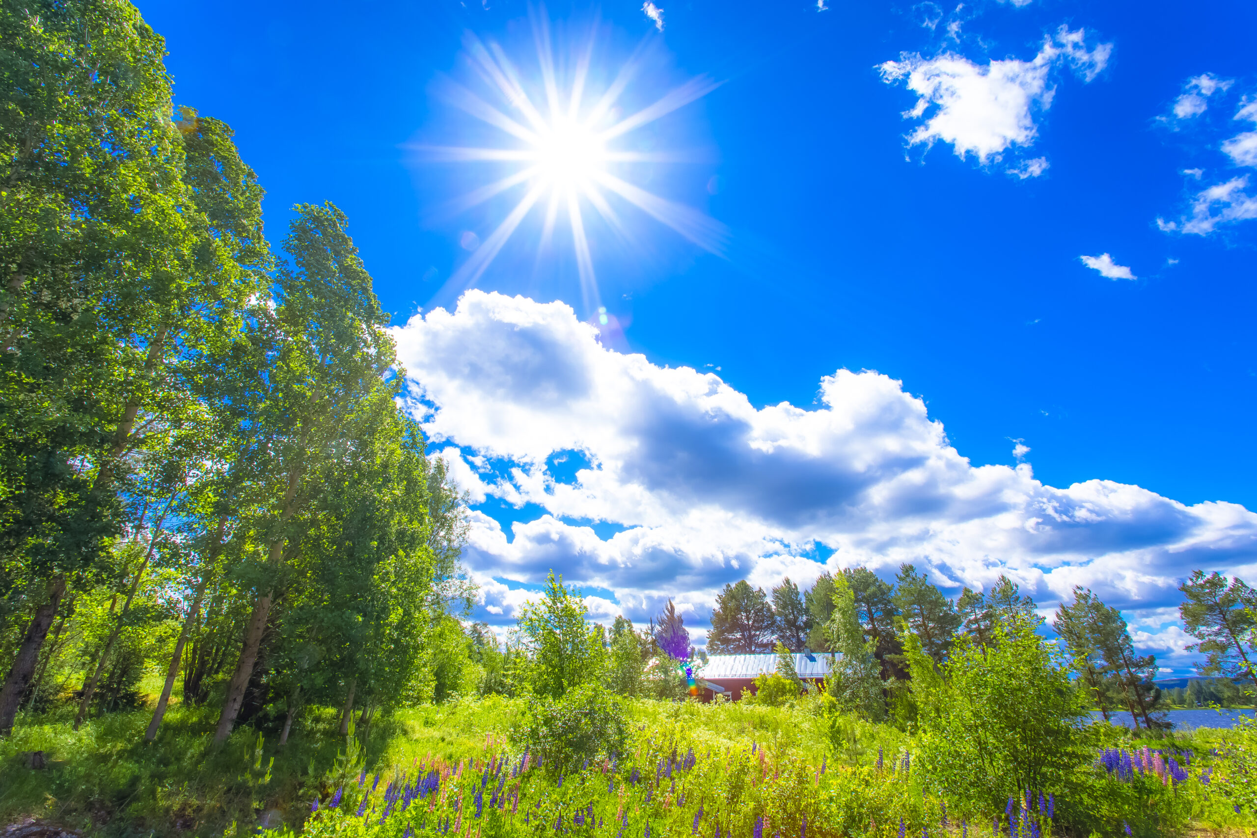 Aurinkoinen taivas ja suomalainen luontomaisema.