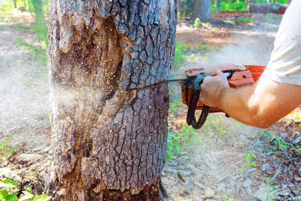 Henkilö sahaa puuta moottorisahalla.