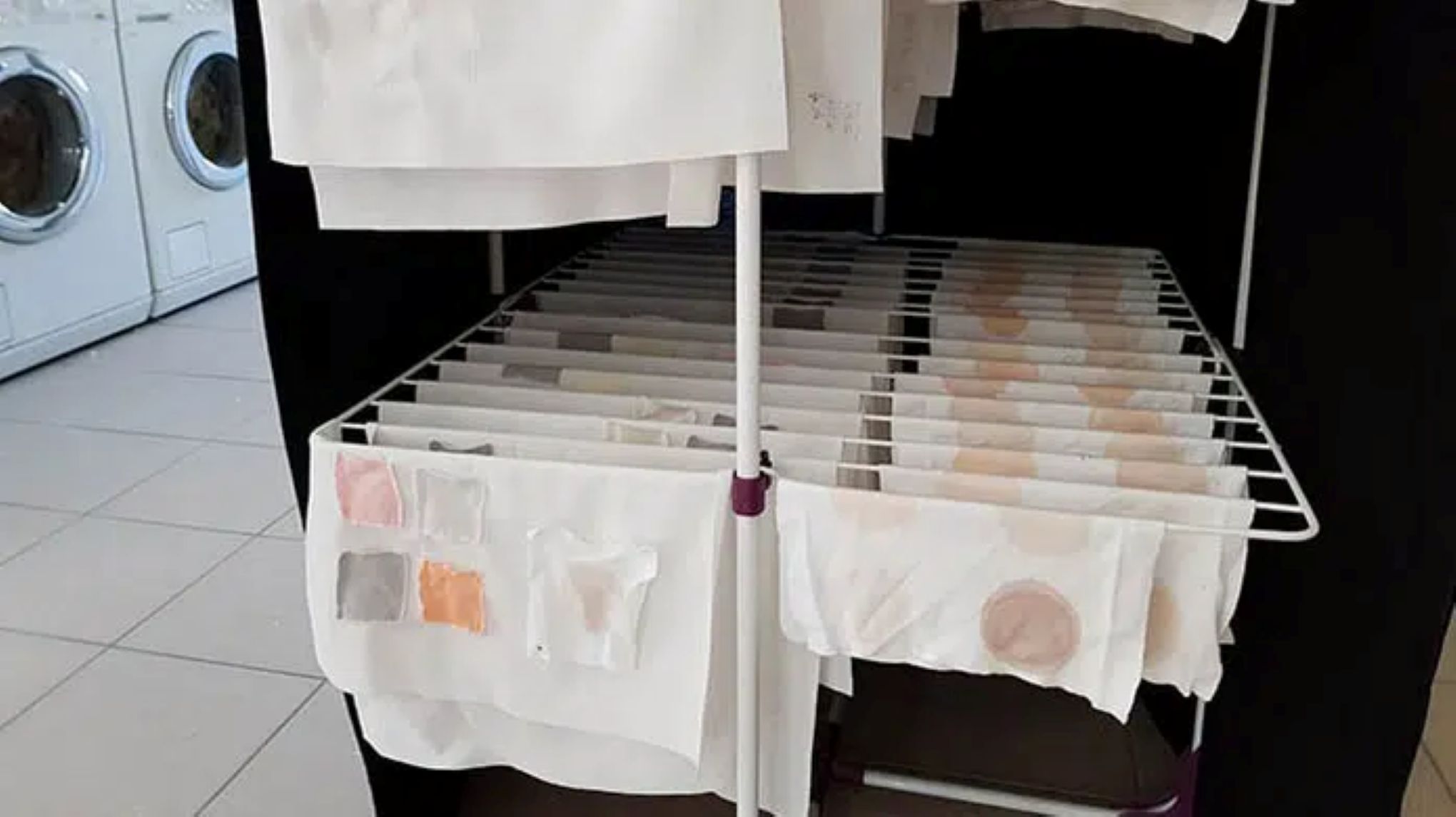 Kangasliinoja kuivumassa kuivasutelineellä.