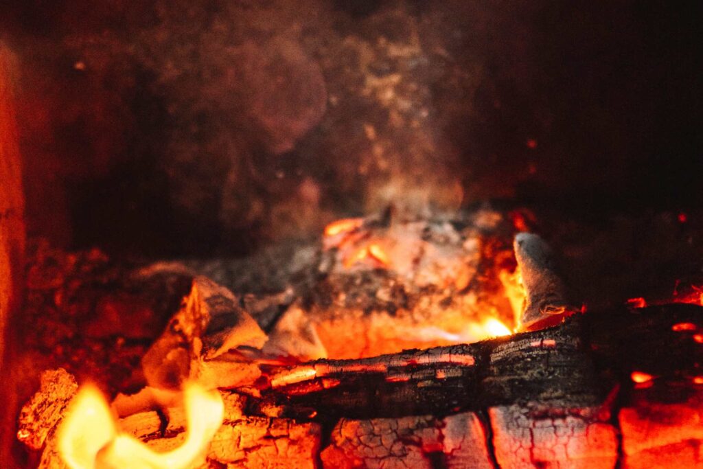 Palavia polttopuita.