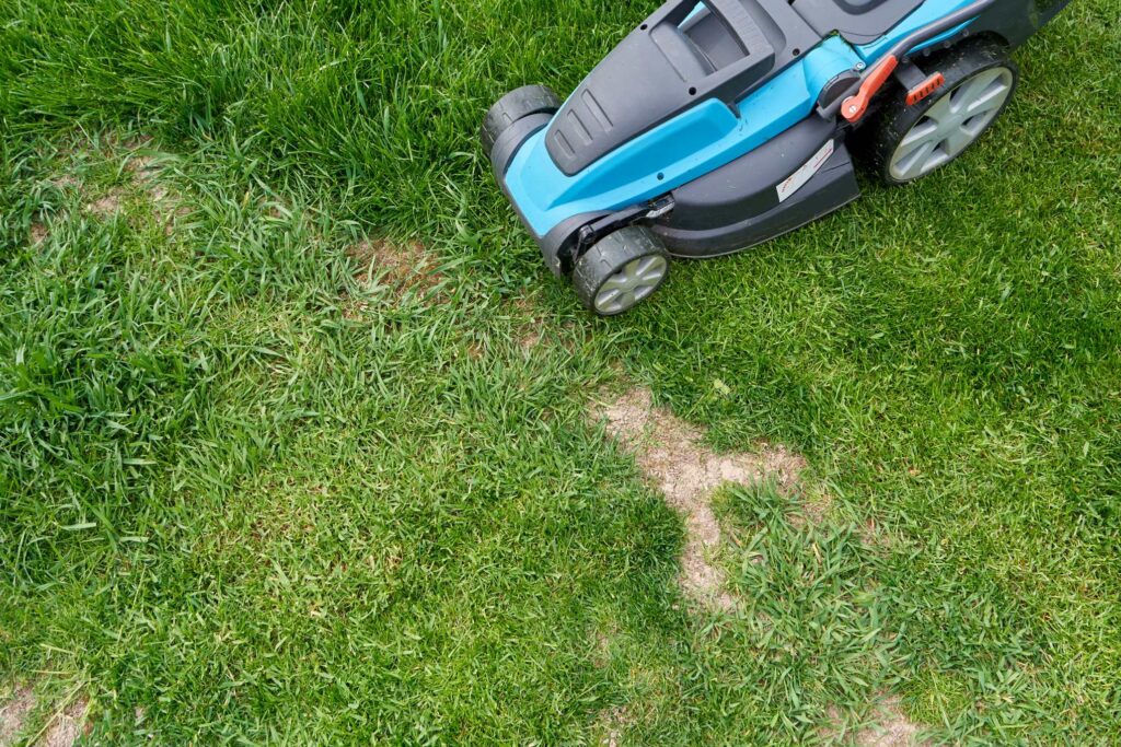 Onko pihasi epätasainen? Seuloimme 65 ruohonleikkurin jättitestistä parhaat epätasaiselle nurmikolle